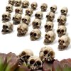 20 Pieces Resin Skull Set Mini Skull Figures for Decorative Garden and Plant Arrangements