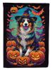 Australian Shepherd Witchy Halloween House Flag Large Porch Sleeve Pole Decorative Outside Yard Banner Artwork Wall Hanging, Polyester, House Size