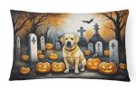 Spooky Halloween Throw Pillow Throw Pillow for Indoor Couch Bed Outdoor Patio Washable, Labrador Retriever 2059,12Hx16W