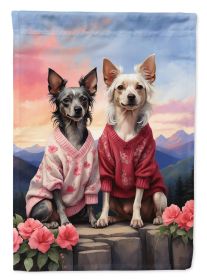 Chinese Crested Two Hearts Garden Flag Mailbox Flag Decorative Yard Flag Banner Outside Patio Artwork Yard Flower Beds, Garden Size, Multicolor