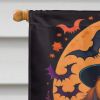 Cavalier Spaniel Witchy Halloween House Flag Large Porch Sleeve Pole Decorative Outside Yard Banner Artwork Wall Hanging, Polyester, House Size