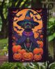 Affenpinscher Witchy Halloween Garden Flag Mailbox Flag Decorative Yard Flag Banner Outside Patio Artwork Yard Flower Beds, Garden Size, Multicolor