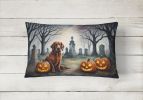Spooky Halloween Throw Pillow Throw Pillow for Indoor Couch Bed Outdoor Patio Washable, Irish Setter 2044,12Hx16W