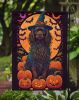 Boykin Spaniel Witchy Halloween Garden Flag Mailbox Flag Decorative Yard Flag Banner Outside Patio Artwork Yard Flower Beds, Garden Size, Multicolor