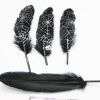 50 Pcs Black Feathers Halloween Party Decor Spider Web Feather DIY Crafts, 4-6 inch