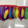 Rainbow Goose Feathers Trim Fringe DIY Dress Sewing Craft Feather Clothing Costumes Party Decoration,2 Yards